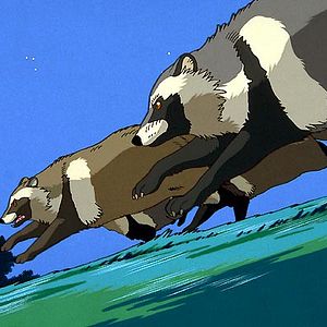 Bilder Pom Poko