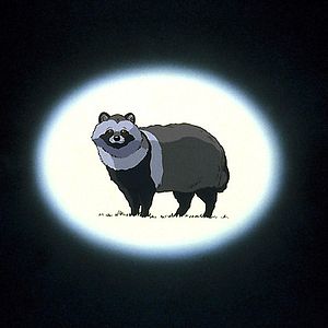 Bilder Pom Poko