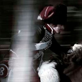 Bilder Alain Belletti