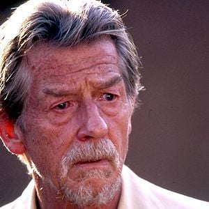 Bilder Shooting Dogs