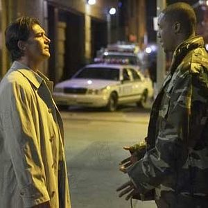 Bilder Liz Friedlander