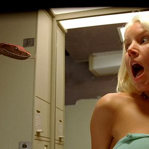 Bilder Snakes on a Plane