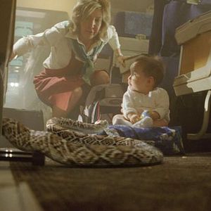 Bilder Snakes on a Plane