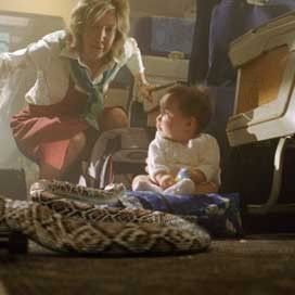 Bilder David R. Ellis