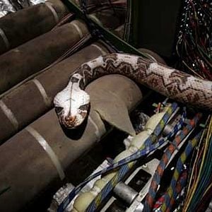 Bilder David R. Ellis