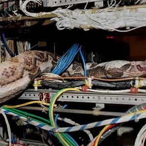 Bilder David R. Ellis