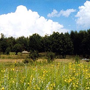 Bilder Guillaume Moscovitz