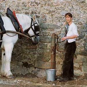 Bilder Gregori Derangère