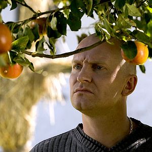 Bilder Ulrich Thomsen