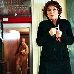 Bilder Ann Marie Fleming