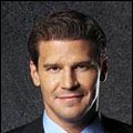 Bilder David Boreanaz