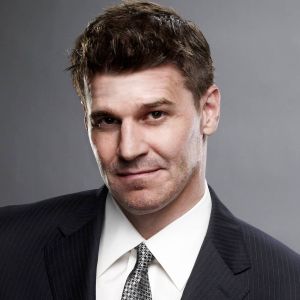 Bilder David Boreanaz