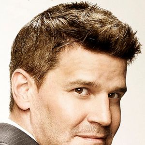 Bilder David Boreanaz