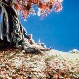 Bilder Die Abenteuer des Baron Münchhausen