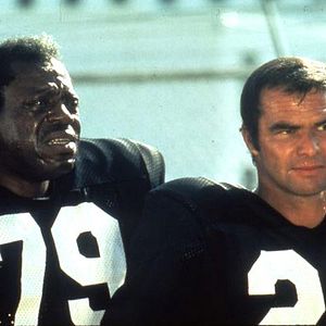 Bilder John Steadman