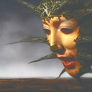 Bilder Dave McKean