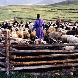 Bilder Die Höhle des gelben Hundes