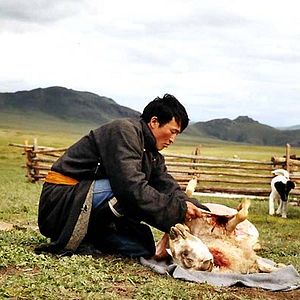 Bilder Die Höhle des gelben Hundes