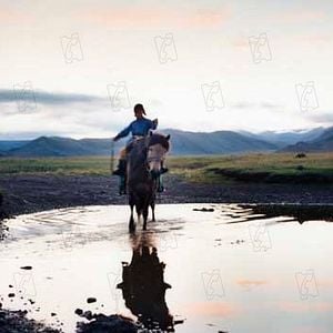 Bilder Die Höhle des gelben Hundes