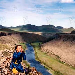 Bilder Die Höhle des gelben Hundes