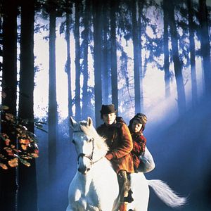 Bilder Das weiße Zauberpferd