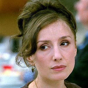 Bilder Der Tiger und der Schnee