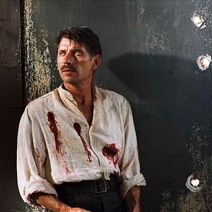 Bilder Jacques Gamblin