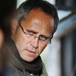 Bilder Tiger Brigades