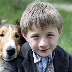 Bilder Lassie kehrt zurück