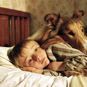 Bilder Lassie kehrt zurück