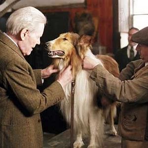 Bilder Lassie kehrt zurück