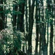 Bilder Ricardo Darín