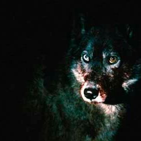 Bilder Fabián Bielinsky