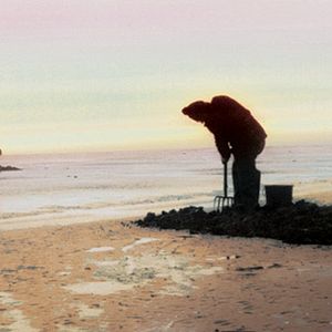 Bilder Johan van der Keuken