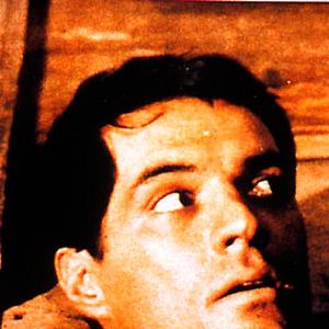 Bilder Keine Rosen für OSS 117