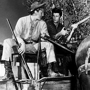 Bilder Der weite Himmel