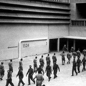 Bilder Es lebe die Freiheit