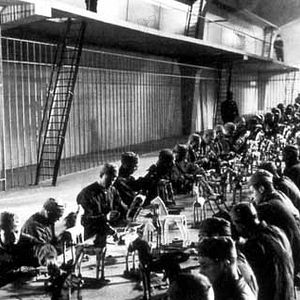 Bilder Es lebe die Freiheit