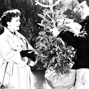 Bilder Was der Himmel erlaubt