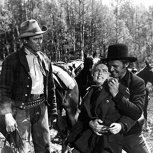 Bilder Nackte Gewalt