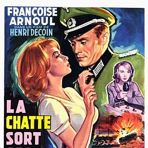 Bilder Die Katze zeigt die Krallen