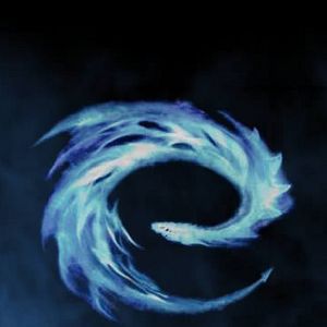 Bilder Stefen Fangmeier