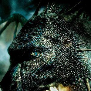 Bilder Stefen Fangmeier