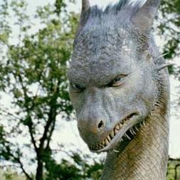 Bilder Stefen Fangmeier