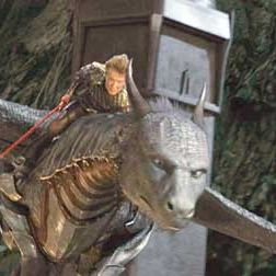 Bilder Stefen Fangmeier