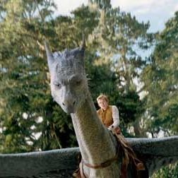 Bilder Stefen Fangmeier