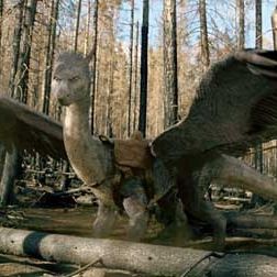 Bilder Stefen Fangmeier