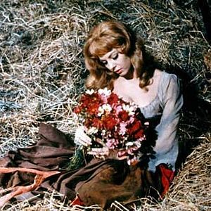 Bilder Bernard Borderie