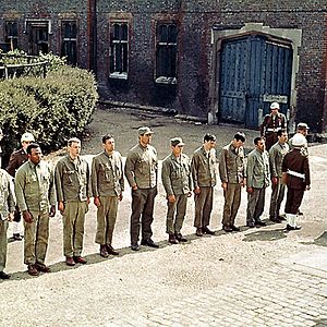 Bilder Robert Aldrich