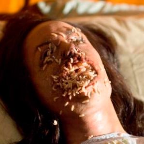 Bilder Masters of Horror